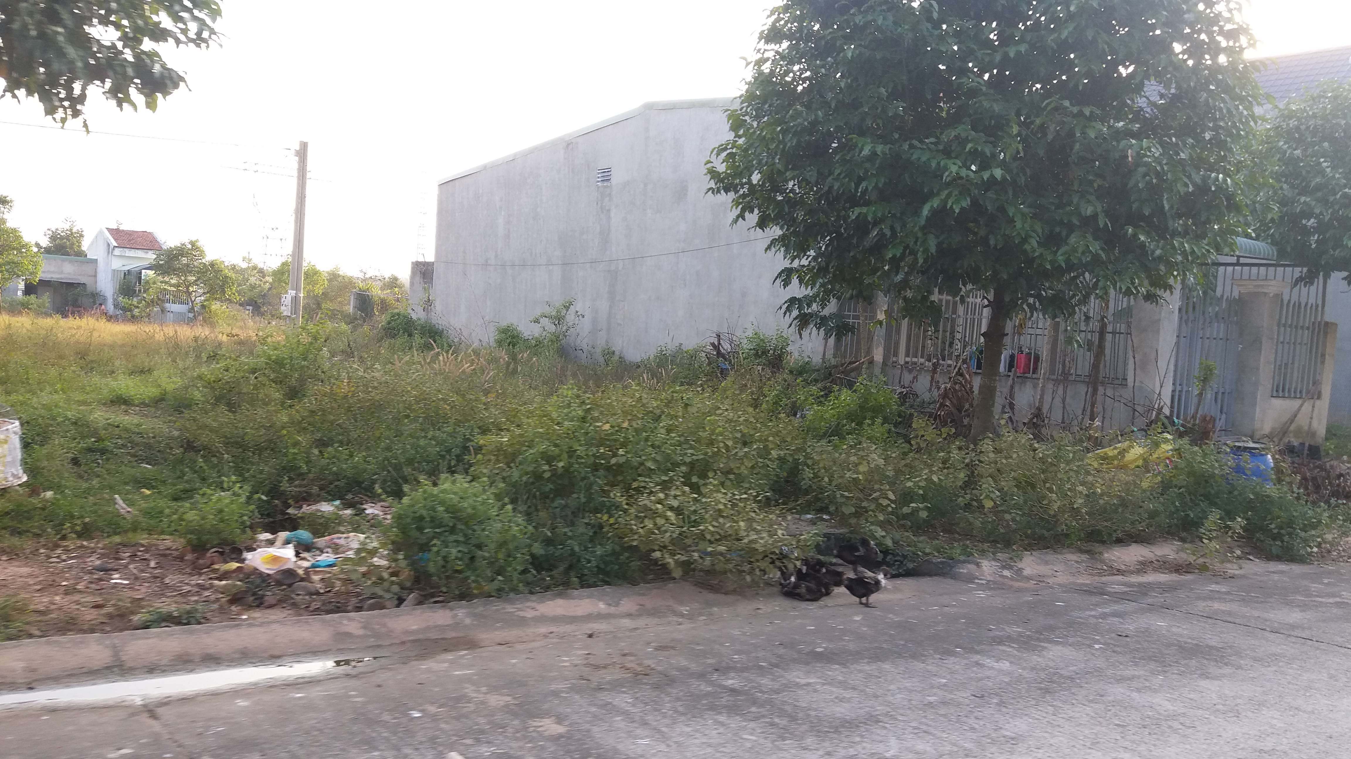 Bán đất ở Phường Bình Long ngay Quốc lộ 13 vào 300m sát kcn