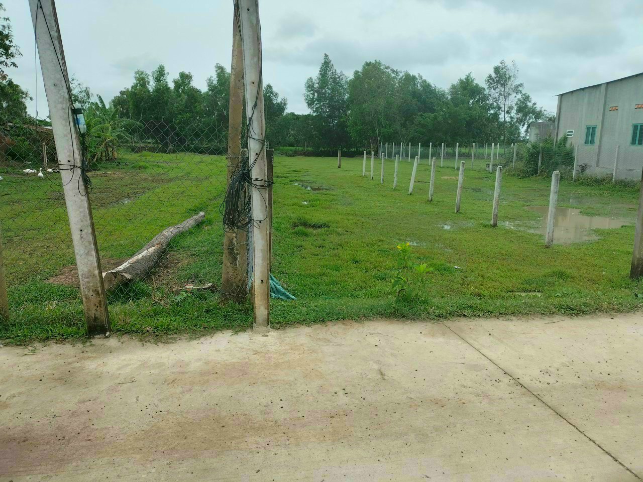 Bán đất Long An thị trấn Hiệp Hòa, Đức Hòa chính chủ