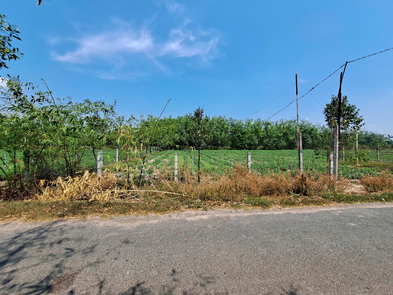 Bán đất Tây Ninh giá rẻ, giáp ranh thành phố Tây Ninh