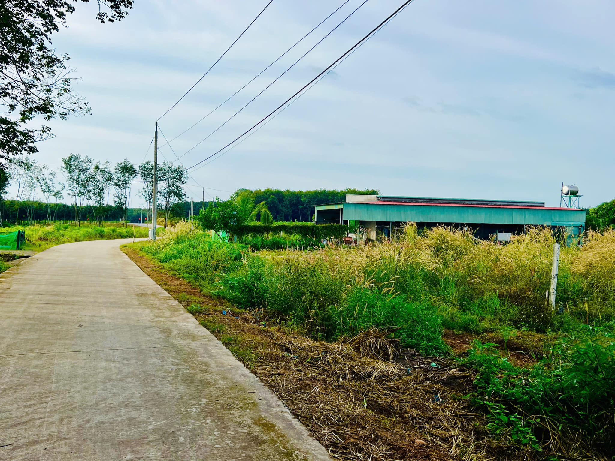 Đất Bình Phước chính chủ bán ngay trung tâm công nghiệp