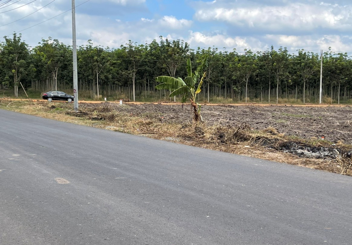 Kẹt tiền cần bán lô đất mặt tiền 42m nhựa giá rẻ hơn thị trường 300 triệu