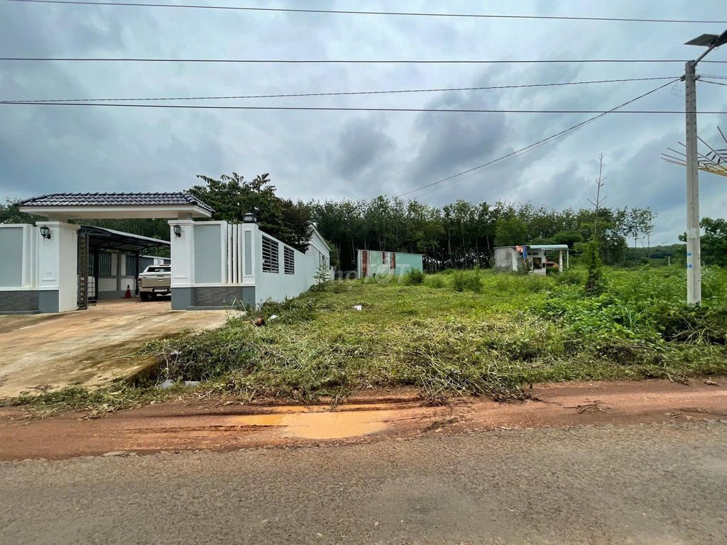 Bán đất Bình Phước ngay KCN và KDC đông đúc, đầy đủ dịch vụ