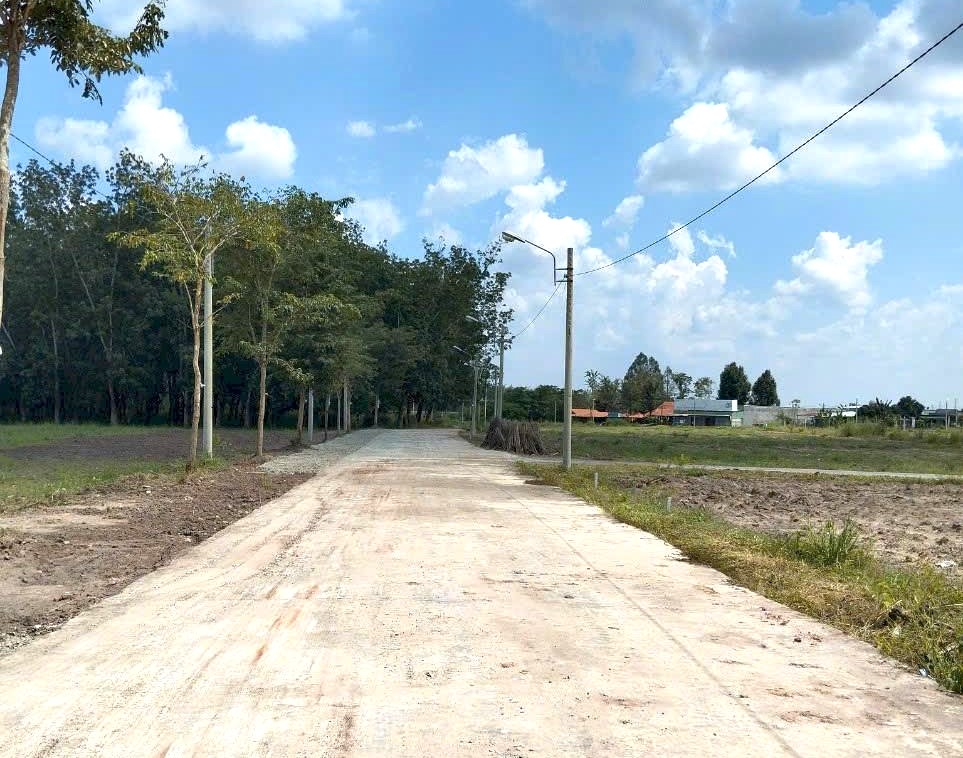 Thực sự cần tiền nên bán nhanh lô đất 1.500m2 giá 290 triệu