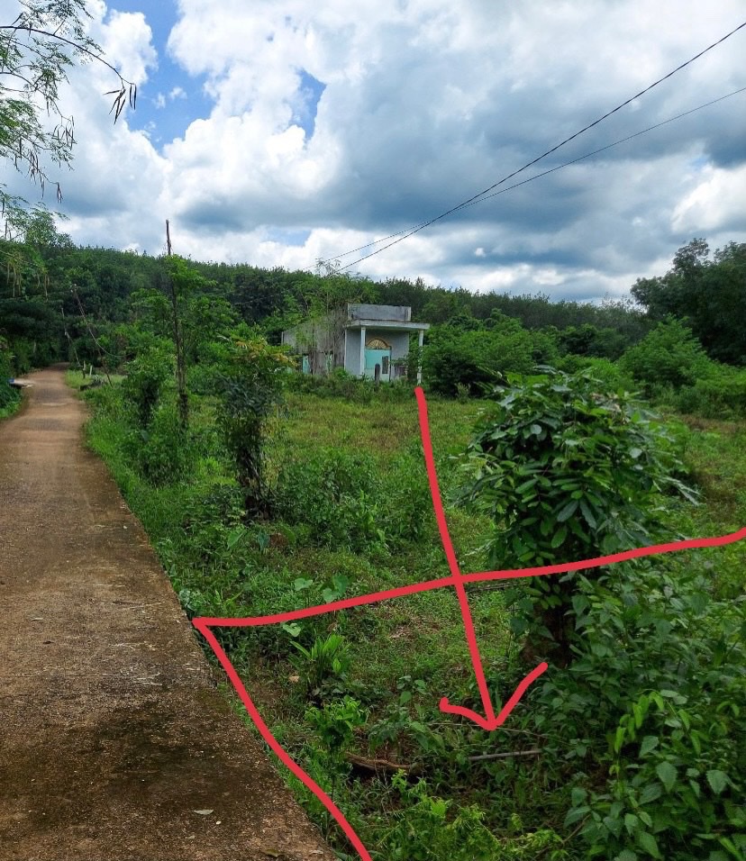 Đất Tân Hưng Bình Hớn Quản Phước giá rẻ, view suối đẹp, sổ sẵn