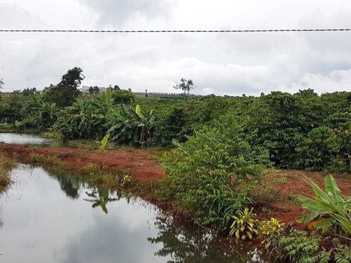 Bán đất sáp nhập thị xã Bình Long view suối mát mẻ, sổ hồng sẵn